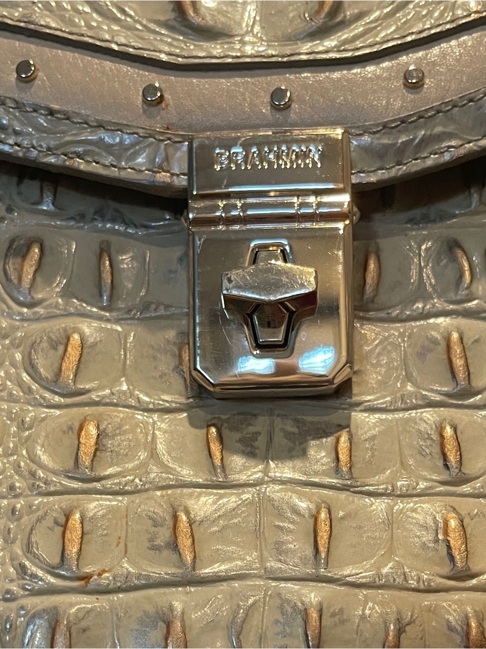 Brahmin Lizzie Croc-Embossed Crossbody - Silver Birch Birchside - Picture 6 of 7